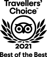 svg logo